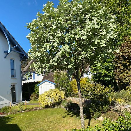Duenenresidenz Karlshagen - Ferienwohnung Ginsterweg Exteriör bild