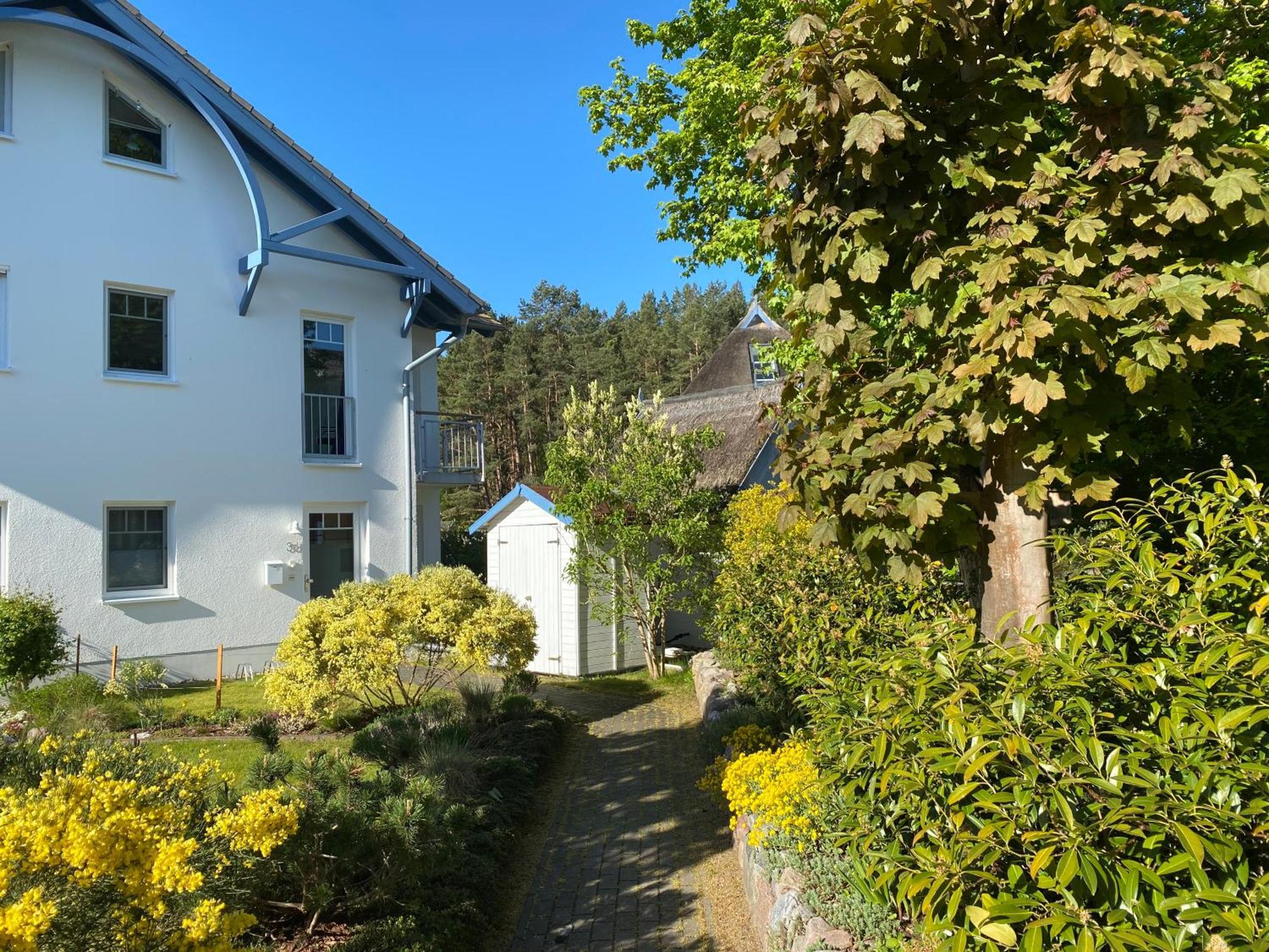 Duenenresidenz Karlshagen - Ferienwohnung Ginsterweg Exteriör bild
