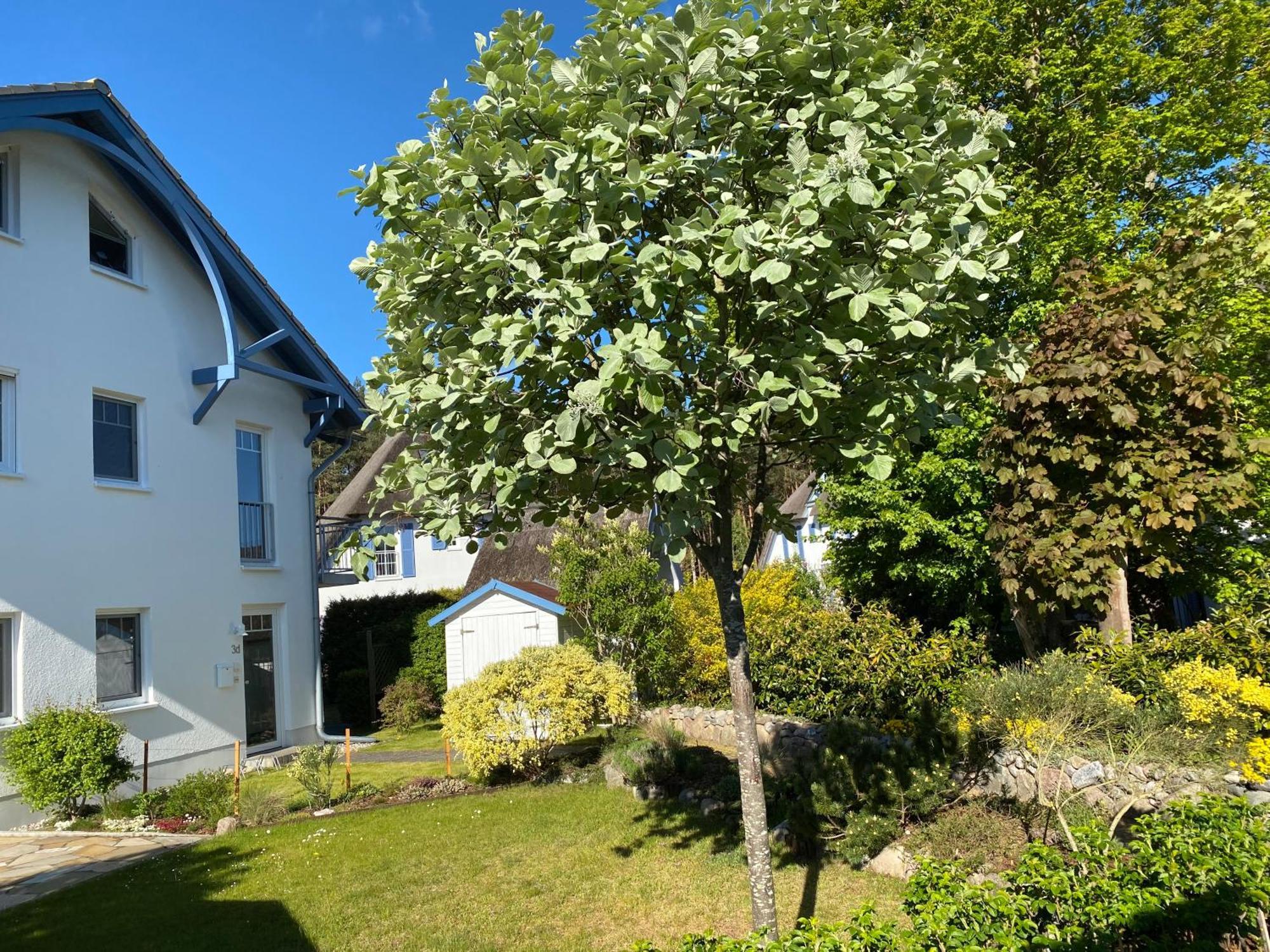 Duenenresidenz Karlshagen - Ferienwohnung Ginsterweg Exteriör bild